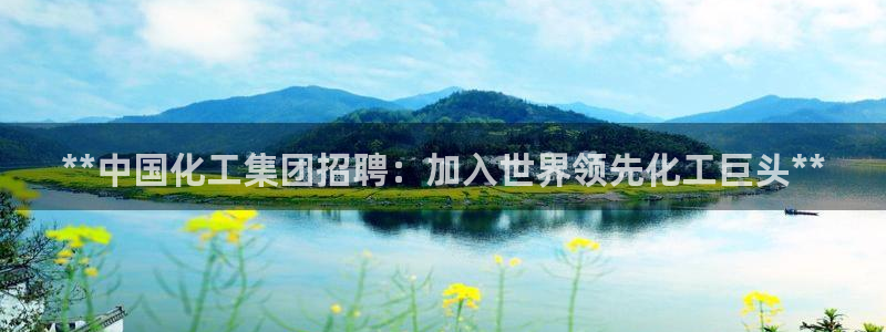 球盟会国际官网：**中国化工集团招聘：加入世界领先化工巨头*