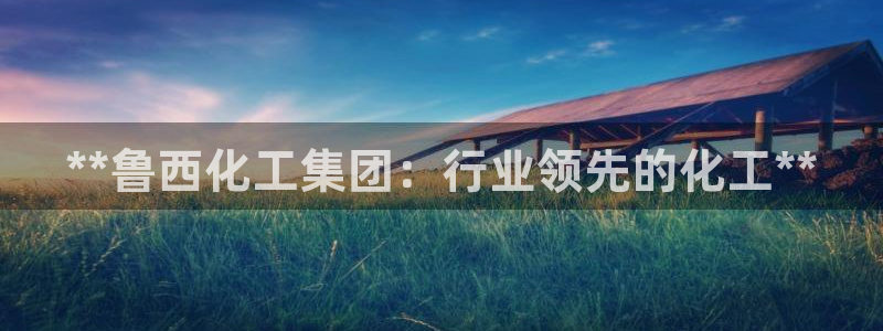 球盟会体育平台：**鲁西化工集团：行业领先的化工**