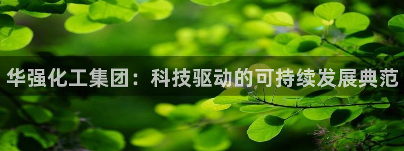 球盟会黑：华强化工集团：科技驱动的可持续发展典范