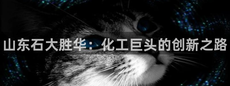 球盟会优惠券