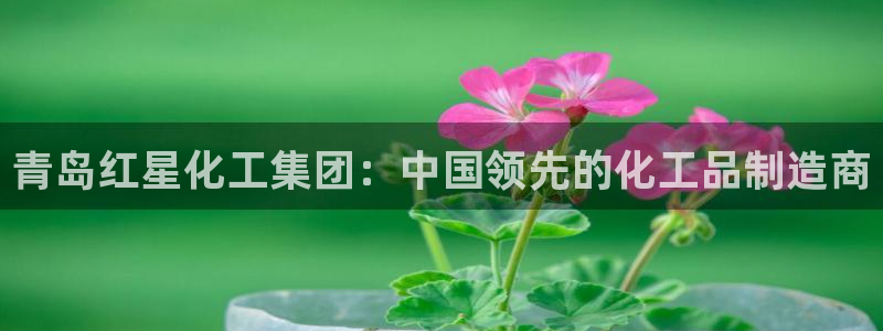 球盟会进不去球员吗：青岛红星化工集团：中国领先的化工品制造商