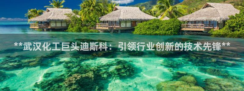 球盟会网址多少：**武汉化工巨头迪斯科：引领行业创新的技术先