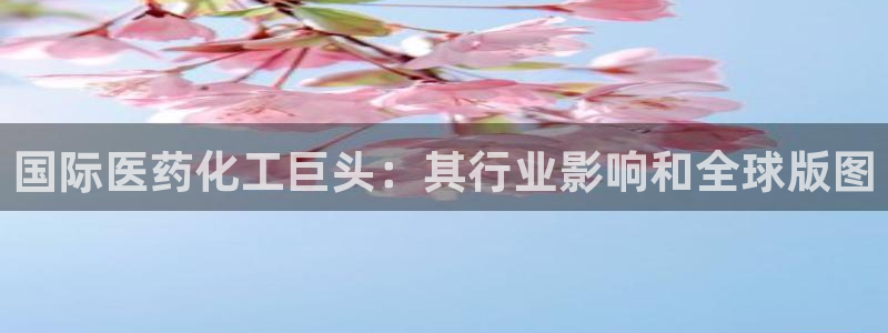 球盟会用的客服聊天是哪个软件