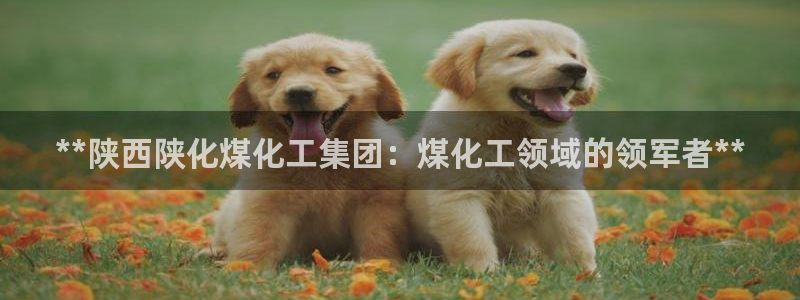 球盟会娱乐平台：**陕西陕化煤化工集团：煤化工领域的领军者*