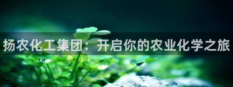 球盟会qm