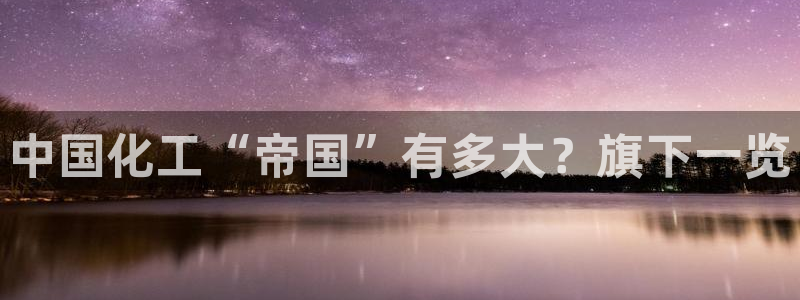 球盟会app网址多少