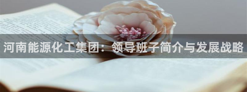 球盟会有没有黑单的球员