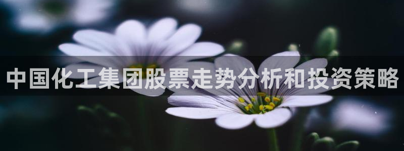 球盟会qmh网页版登录：中国化工集团股票走势分析和投资策略