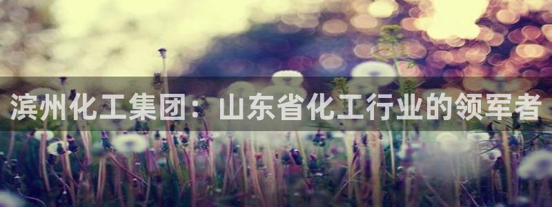球盟会头号玩家：滨州化工集团：山东省化工行业的领军者