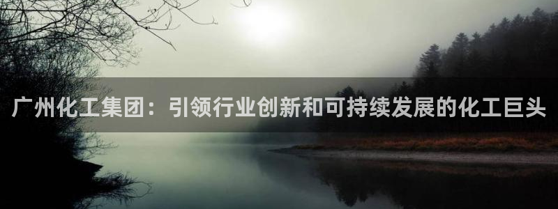 球盟会进不去：广州化工集团：引领行业创新和可持续发展的化工巨