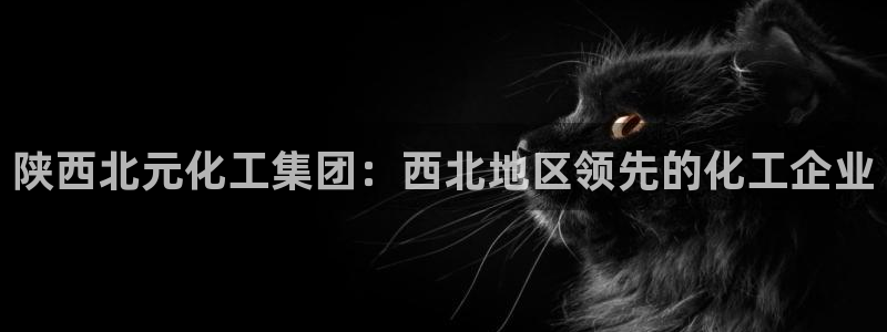球盟会下款快吗：陕西北元化工集团：西北地区领先的化工企业
