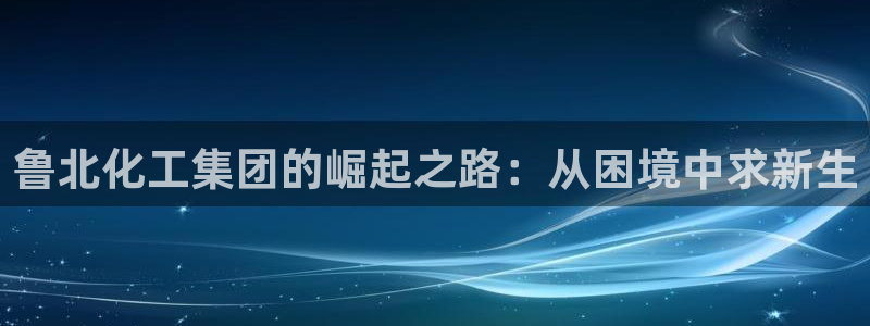 球盟会在线网站：鲁北化工集团的崛起之路：从困境中求新生