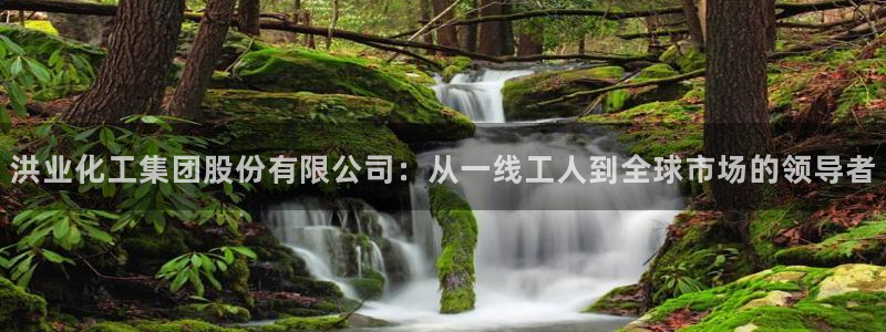 球盟会里面有打牌的嘛是真的吗：洪业化工集团股份有限公司：从一