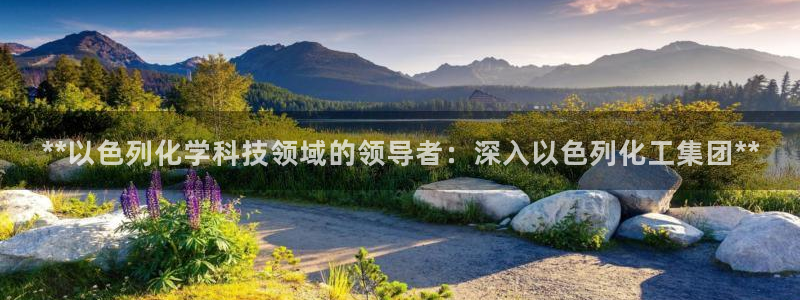 球盟会能提现吗安全吗：**以色列化学科技领域的领导者：深入以