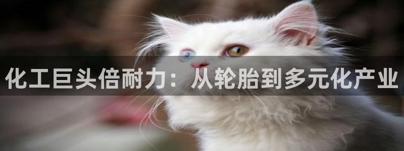 球盟会中国网页登录