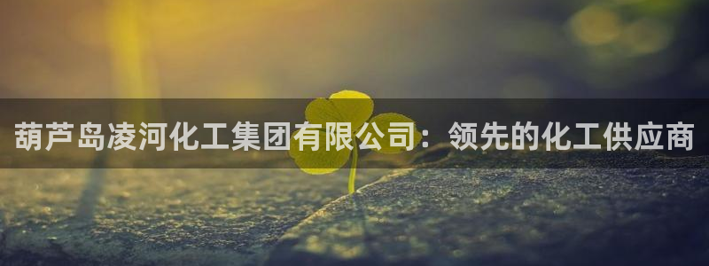 球盟会黑：葫芦岛凌河化工集团有限公司：领先的化工供应商