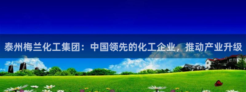 球盟会(中国)官方网站：泰州梅兰化工集团：中国领先的化工企业