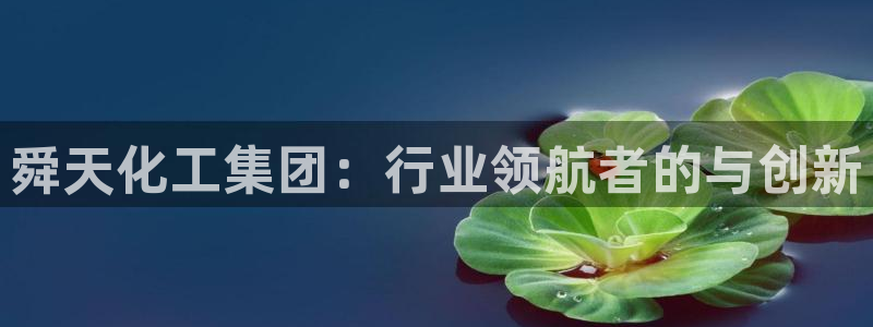 球盟会和中欧会的区别