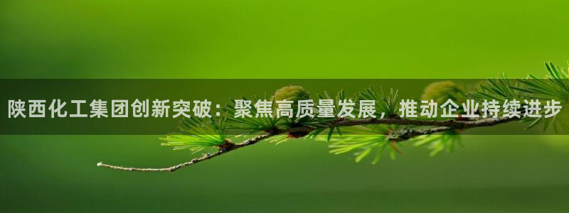 球盟会综合体育平台：陕西化工集团创新突破：聚焦高质量发展，推