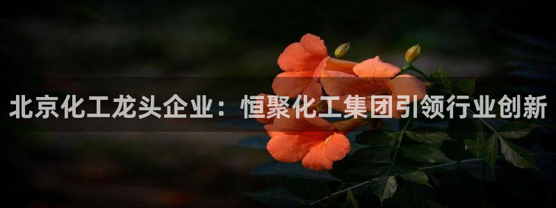 球盟会官方网址入口：北京化工龙头企业：恒聚化工集团引领行业创