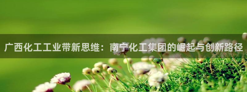 球盟会黑台子：广西化工工业带新思维：南宁化工集团的崛起与创新