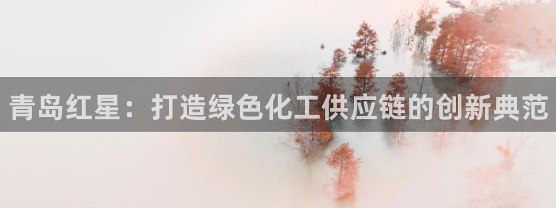 球盟会qmh官网：青岛红星：打造绿色化工供应链的创新典范