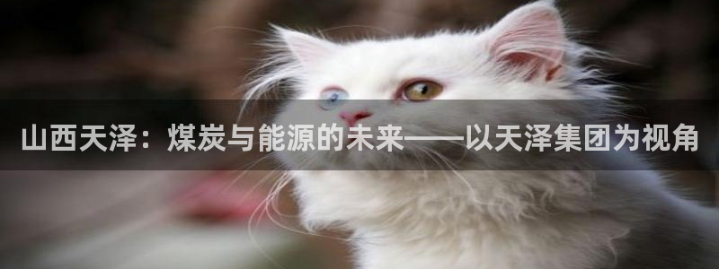 球盟会黑款吗知乎文章：山西天泽：煤炭与能源的未来——以天泽集