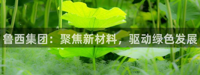 球盟会官方最新入口：鲁西集团：聚焦新材料，驱动绿色发展