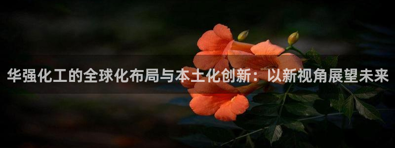 球盟会登陆：华强化工的全球化布局与本土化创新：以新视角展望未