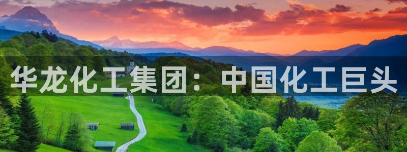 球盟会电子