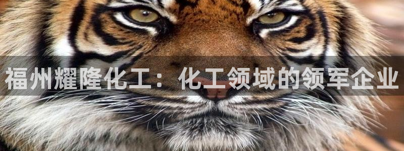 球盟会最新活动