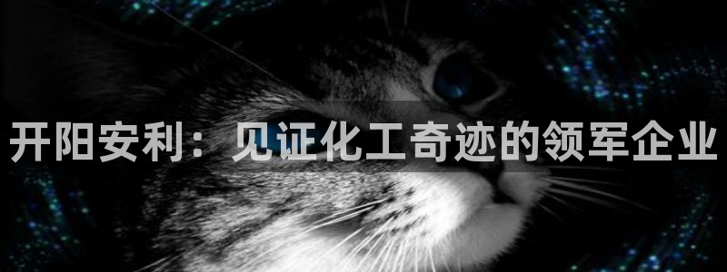 球盟会类似的网站