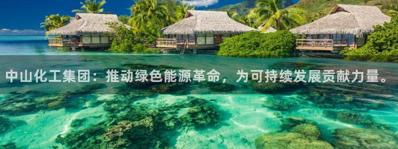 千亿球盟会乐玩：中山化工集团：推动绿色能源革命，为可持续发展