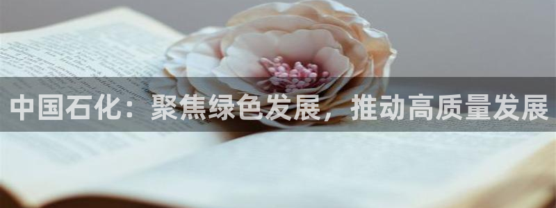 球盟会和中欧合作吗：中国石化：聚焦绿色发展，推动高质量发展