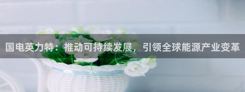 球盟会在线官网：国电英力特：推动可持续发展，引领全球能源产业