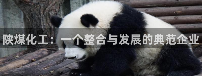 球盟会综合体育平台：陕煤化工：一个整合与发展的典范企业