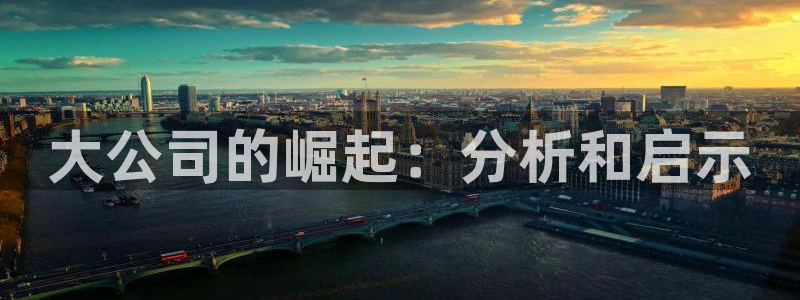 球盟会网页登录app下载地址：大公司的崛起：分析和启示