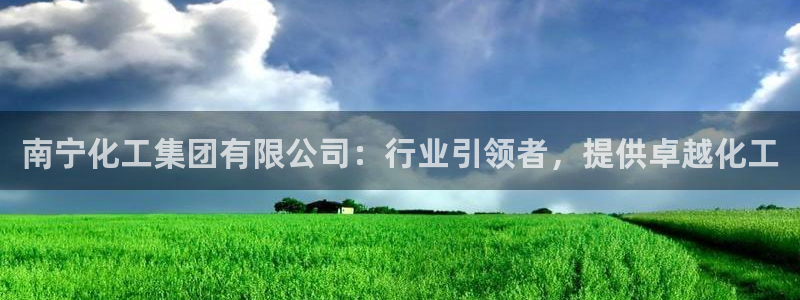 球盟会有没有黑单的：南宁化工集团有限公司：行业引领者，提供卓