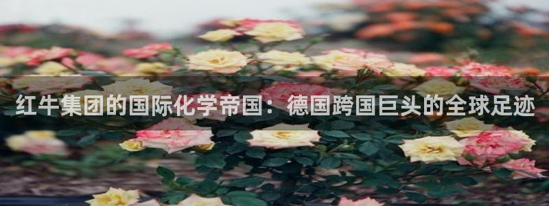 球盟会app最新地址在哪看