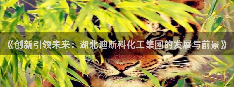 球盟会可以提现么：《创新引领未来：湖北迪斯科化工集团的发展与