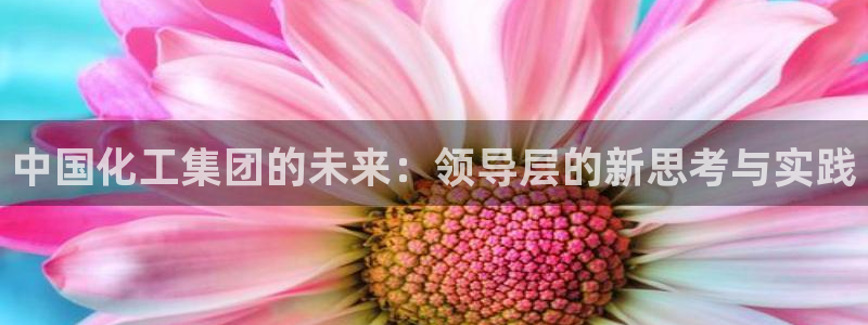 球盟会提款支付宝怎么样：中国化工集团的未来：领导层的新思考与