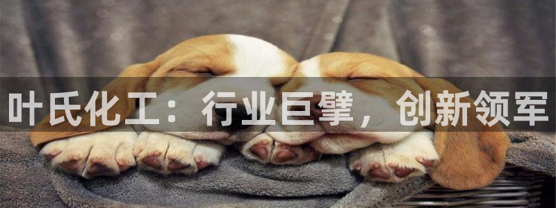 球盟会贴吧：叶氏化工：行业巨擘，创新领军