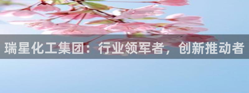 球盟会网址：瑞星化工集团：行业领军者，创新推动者