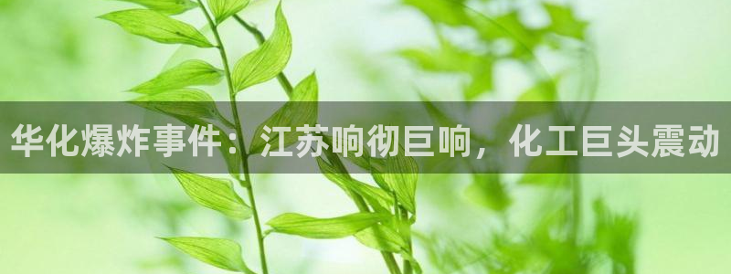球盟会官方平台入口