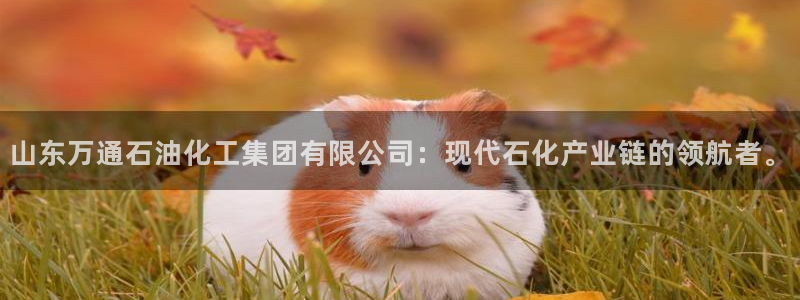 球盟会网址qm9 - 球盟会qmh网页版登录：山东万通石油化