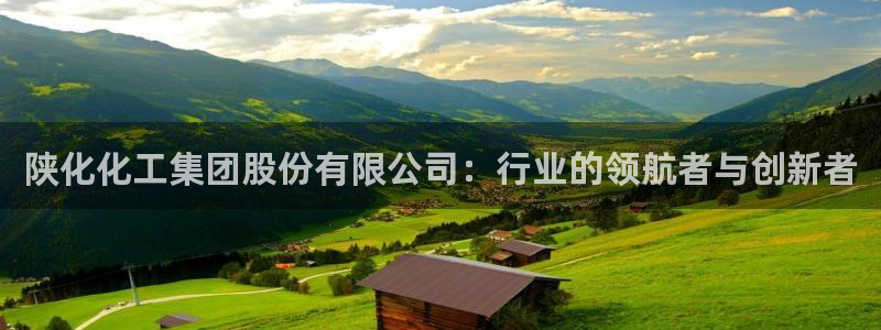 球盟会进不去