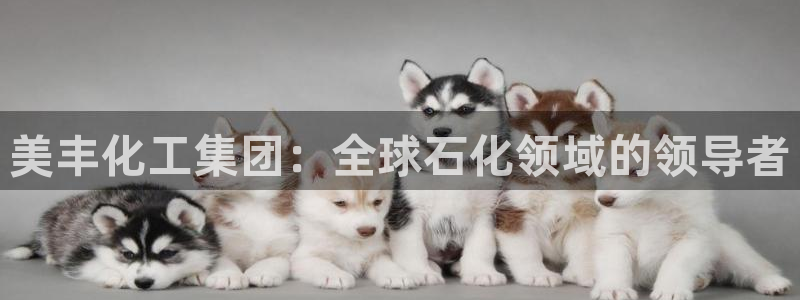 球盟会app最新地址在哪看：美丰化工集团