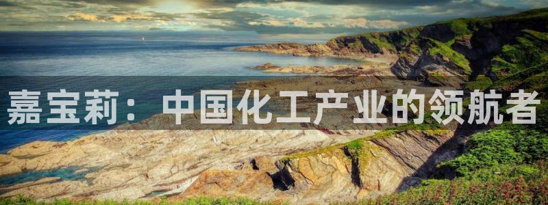 球盟会在线官网：嘉宝莉：中国化工产业的领