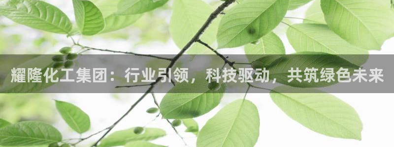 球盟会论坛：耀隆化工集团：行业引领，科技