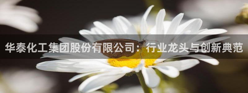 球盟会在线登录：华泰化工集团股份有限公司：行业龙头与创新典范